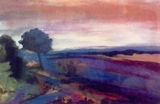 Penelope Timmis