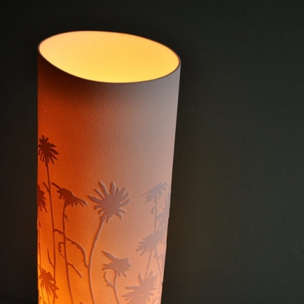 Amy Cooper Lighting