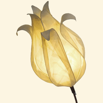 Lighting and Lampshades
