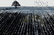 Delamore Arts annual exhibition