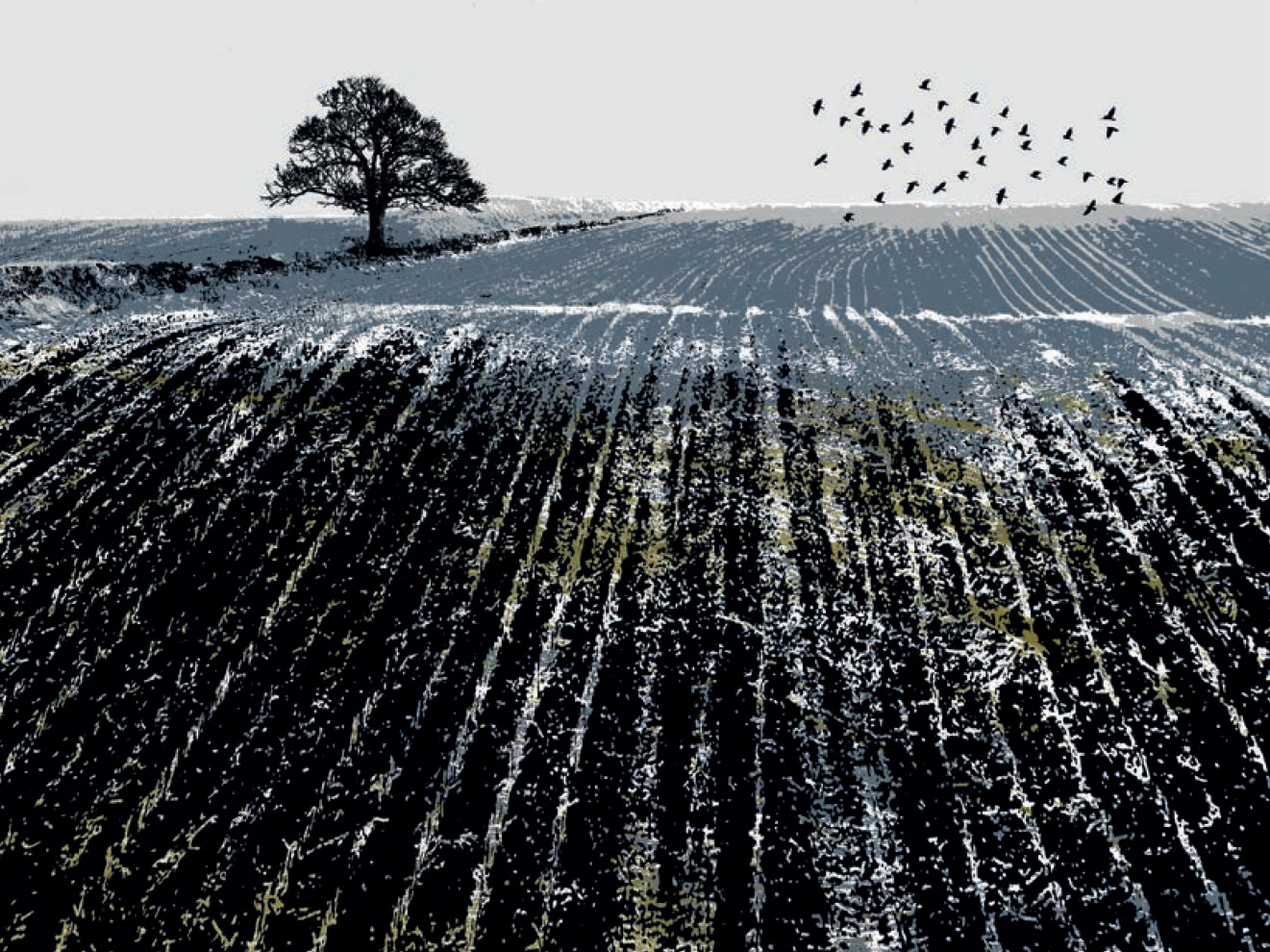 Delamore Arts annual exhibition